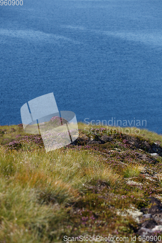 Image of Beautiful view on norwegian fjords