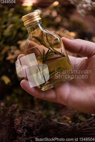 Image of potion bottle in hand of herbalist