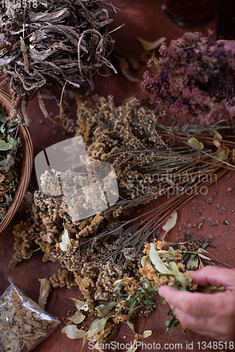 Image of herbalist workshop