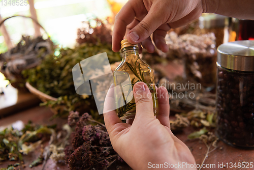 Image of potion bottle in hand of herbalist