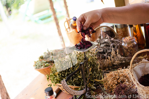 Image of herbalist small business owner