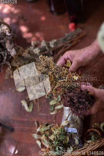 Image of herbalist workshop