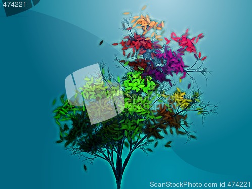 Image of Autumn leafy tree