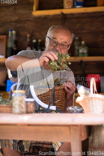 Image of herbalist