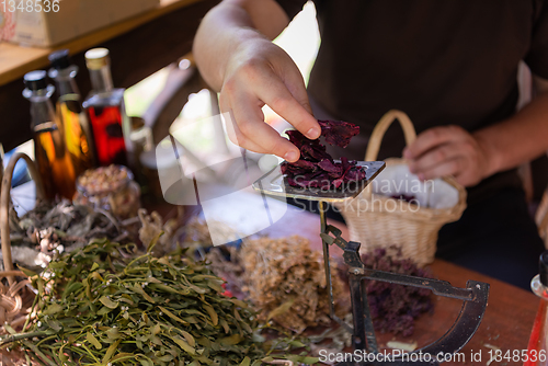 Image of herbalist small business owner