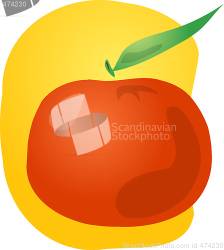 Image of Tangerine fruit illustration
