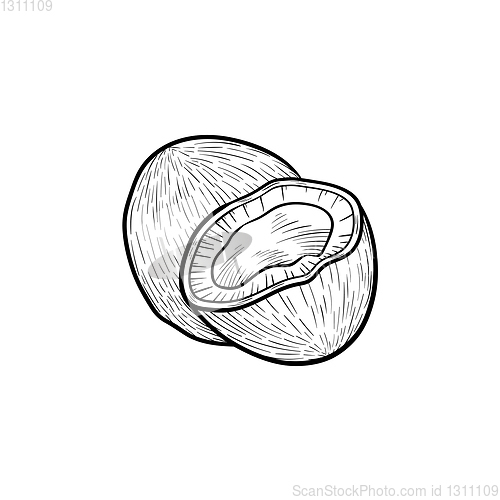 Image of Coconut hand drawn sketch icon.
