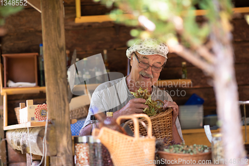 Image of herbalist