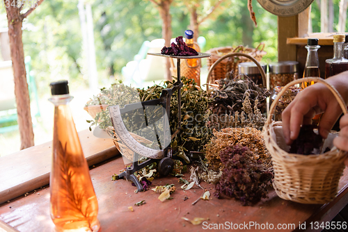 Image of herbalist small business owner