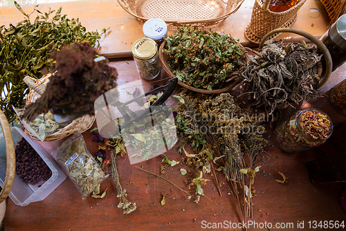 Image of herbalist workshop