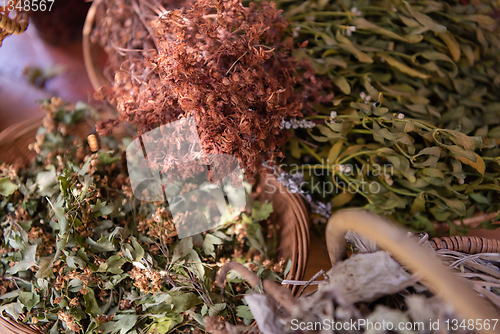 Image of herbalist small business owner