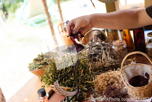 Image of herbalist small business owner