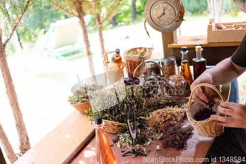 Image of herbalist small business owner