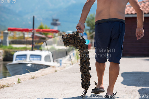 Image of senior man carries a bag of fresh mussel