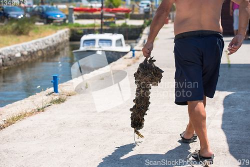 Image of senior man carries a bag of fresh mussel