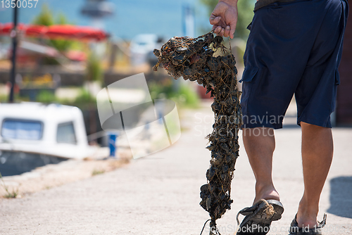 Image of senior man carries a bag of fresh mussel