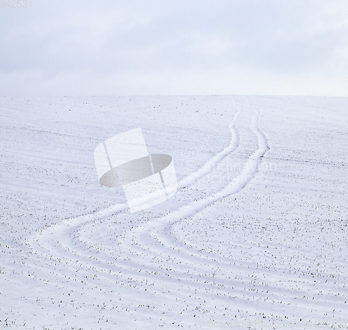 Image of Snow drifts in winter