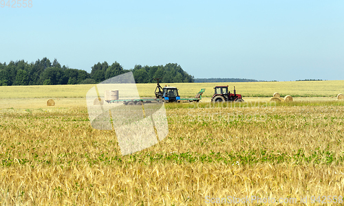 Image of Agricultural field