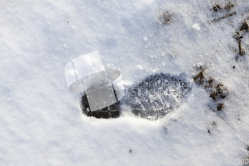 Image of Snowdrifts in winter