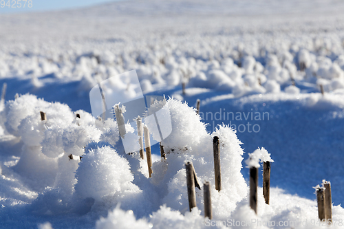 Image of Snow drifts in winter