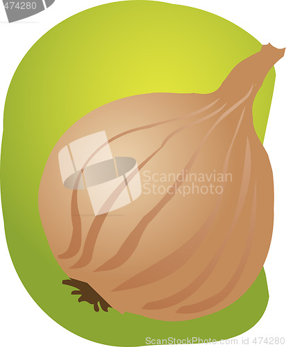 Image of Onion illustration