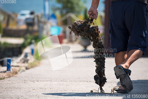 Image of senior man carries a bag of fresh mussel