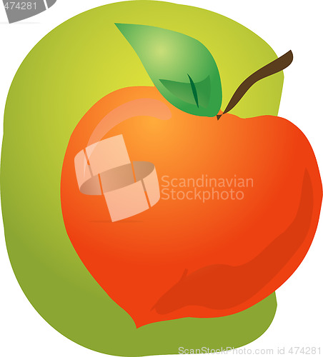 Image of Peach fruit illustration