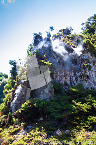 Image of volcanic activities at waimangu