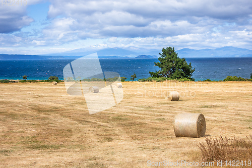 Image of Lake Taupo New Zealand