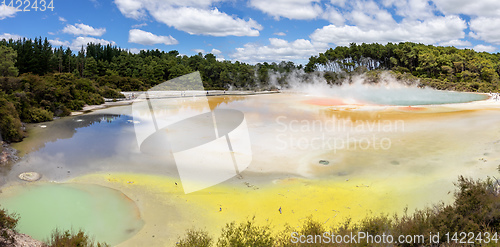 Image of geothermal activity at Rotorua in New Zealand