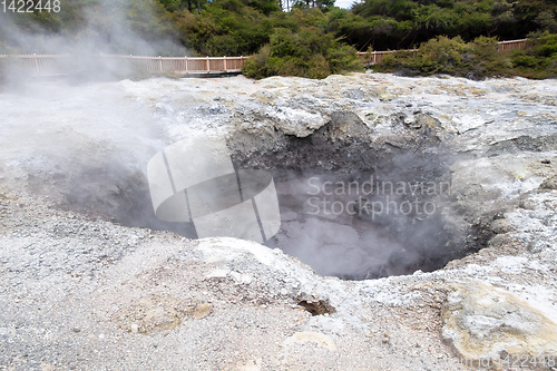 Image of geothermal activity at Rotorua in New Zealand