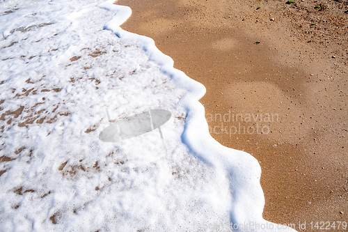 Image of shore detail at the sand beach in Italy