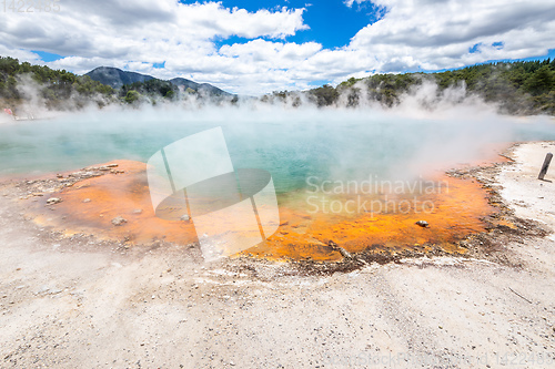 Image of hot sparkling lake in New Zealand