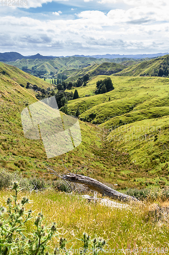 Image of typical rural landscape in New Zealand