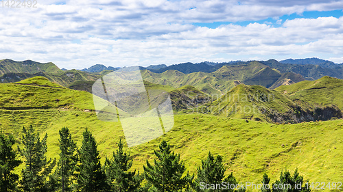 Image of typical rural landscape in New Zealand