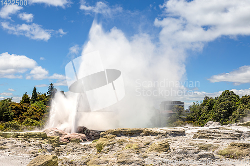 Image of Geyser in New Zealand Rotorua