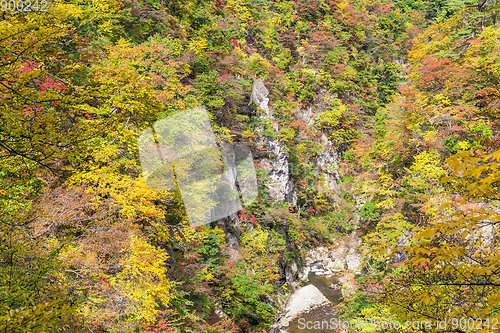 Image of Naruko Gorge in autumn season