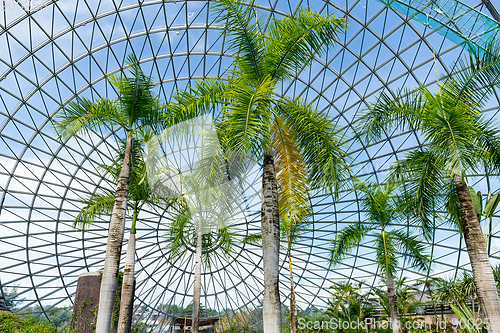Image of Green house