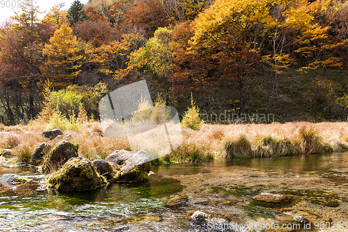 Image of Autumn landscape in Nikko of Japan