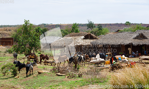 Image of Malagasy peoples on farm in rural Madagascar