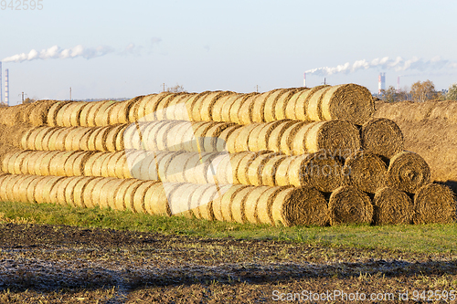 Image of straw after harvest