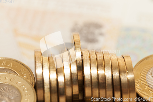 Image of Polish money close-up