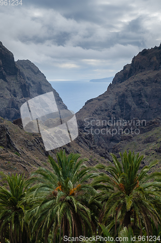 Image of view on Teno Mountains