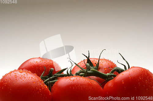 Image of Tomato