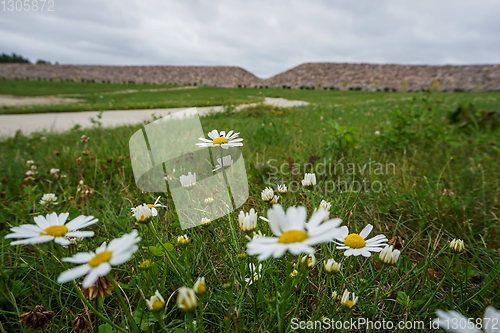 Image of Stones and meadow in Koknese in the park Garden of Destinies in 