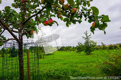 Image of Garden in Koknese park Garden of Destinies in Latvia.