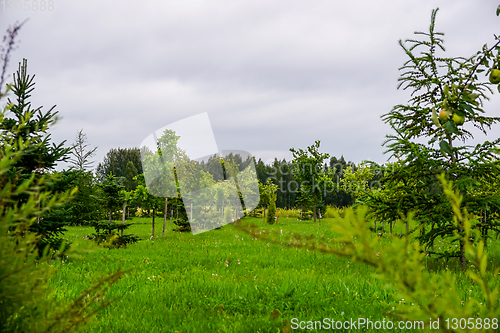 Image of Garden in Koknese park Garden of Destinies in Latvia.