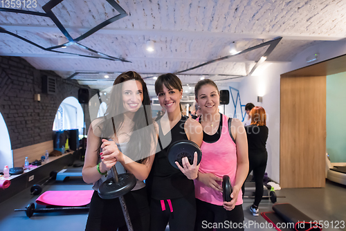 Image of portrait of a group smiling sporty healthy fit women