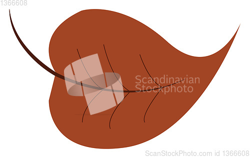 Image of A leaf vector or color illustration