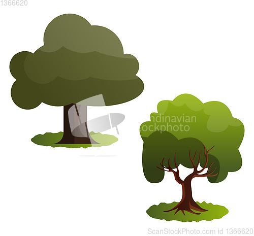 Image of Couple of green trees vector illustration on white background